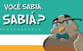 imagem de background - Acesse a cartilha e conheça os crimes eleitorais mais comuns.