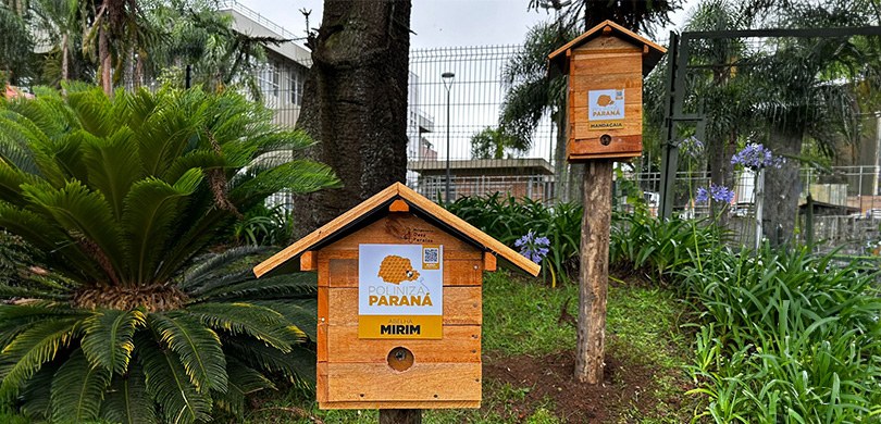 Fotografia de duas casinhas de madeira. Na casinha à frente, há uma plaquinha em que se lê: Poli...