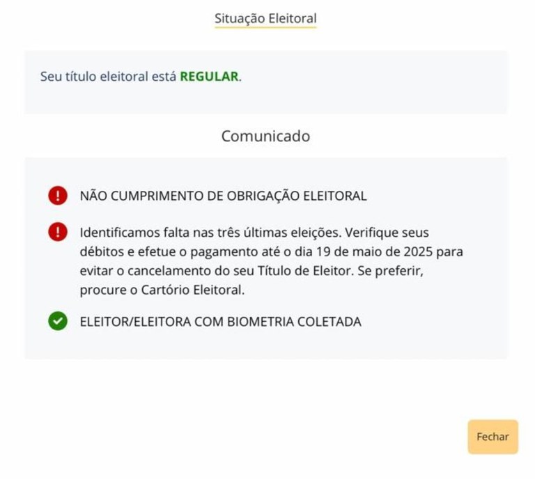 Print da tela de consulta de situação eleitoral de eleitor em débito com a Justiça Eleitoral.