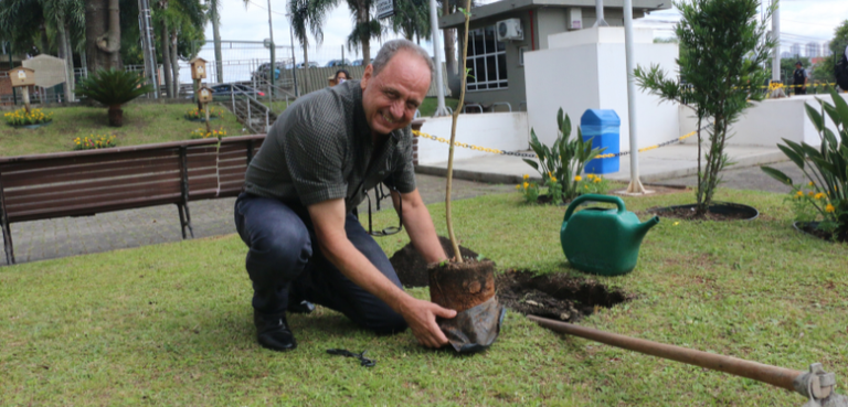 Fotografia na qual é possível ver um homem segurando uma muda de árvore. Ao lado, há um buraco p...