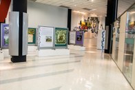 Exposição “ TRE, Cidadania e Eleições”