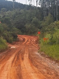Fotografia em ambiente externo na qual se observam cinco pessoas de peles claras posando sorride...