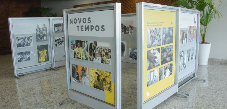 Foto em que são vistos vários biombos com fotos e textos, impressos em papel nos tons amarelo, p...