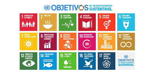 Imagem mostrando os dezessete Objetivos de Desenvolvimento Sustentável da ONU