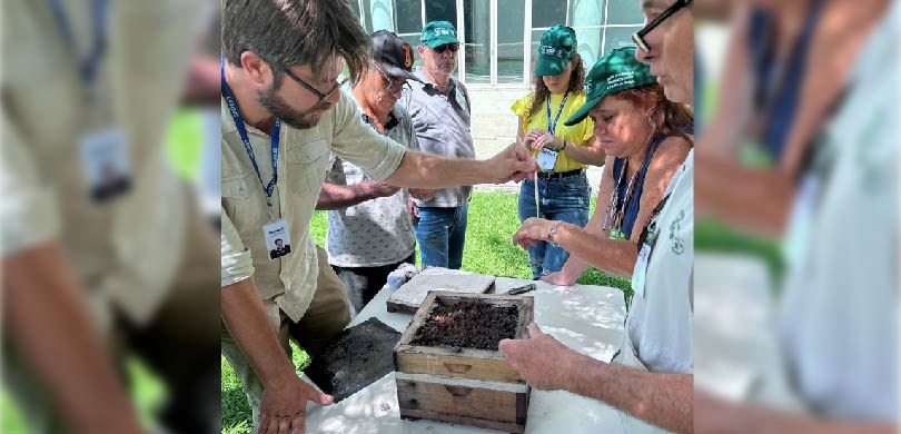 Servidores do TRE-PR realizam capacitação sobre meliponicultura Em um ambiente externo, várias pessoas estão pisando na grama ao redor de uma pequena mesa retan...
