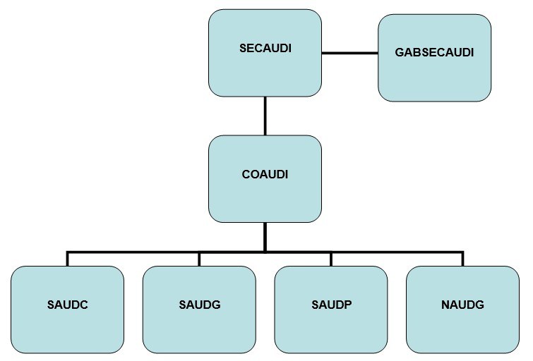 Organograma simples em fundo branco, composto por sete caixas retangulares de cantos arredondado...